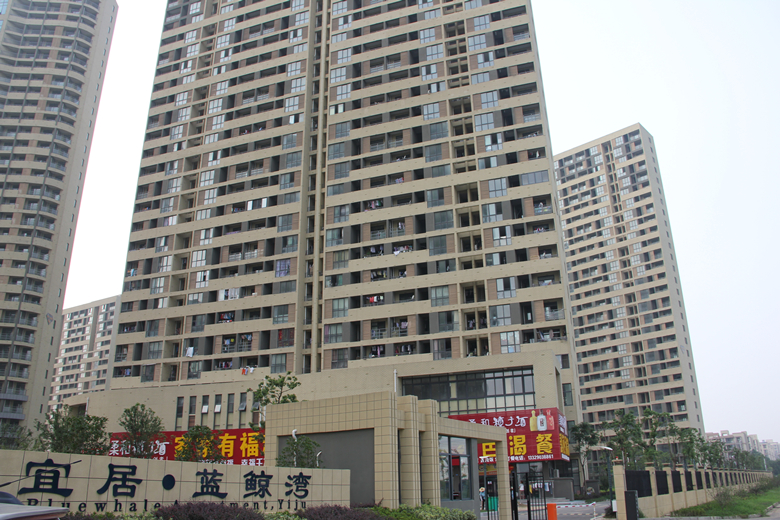 mg不朽情缘
